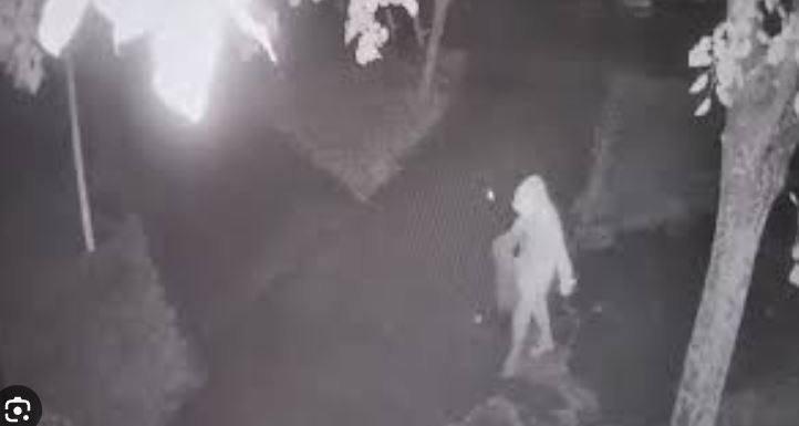 Tânăra de 19 ani care şi-a ucis prietena la Mangalia, condamnată definitiv la 16 ani de detenţie