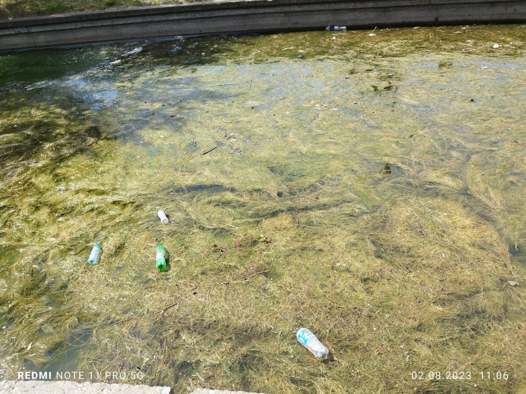 Canal Satul de Vacanta - foto - Radio Constanta