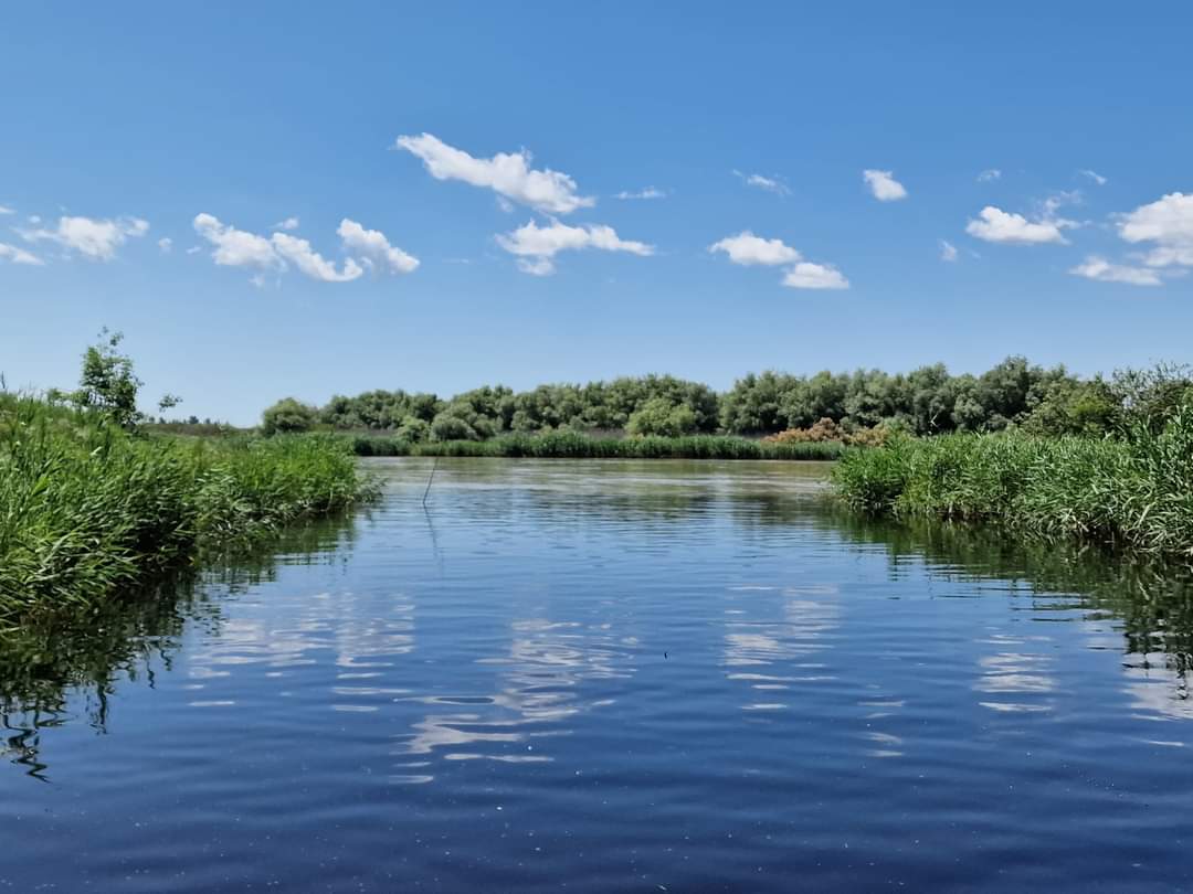 TULCEA: Lipsa semnalului pentru telefonia mobilă în Delta Dunării în atenția unei comisii guvernamentale