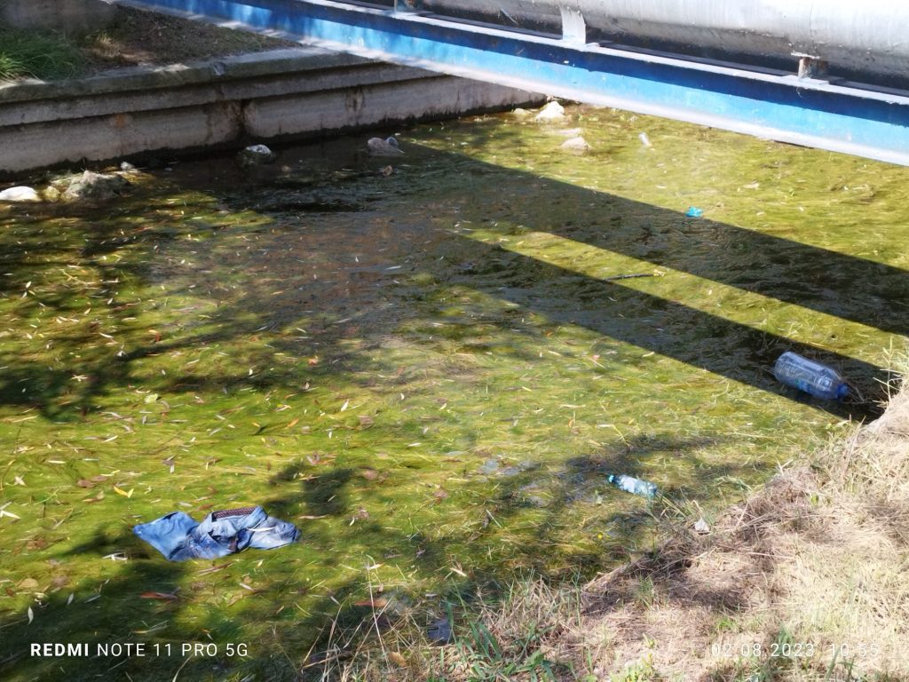 Canal Satul de Vacanta - foto - Radio Constanta