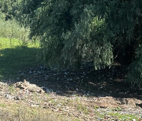 TULCEA: 5 localități din Deltă riscă amenzi de până la 100.000 de lei, dacă nu strâng deșeurile abandonate