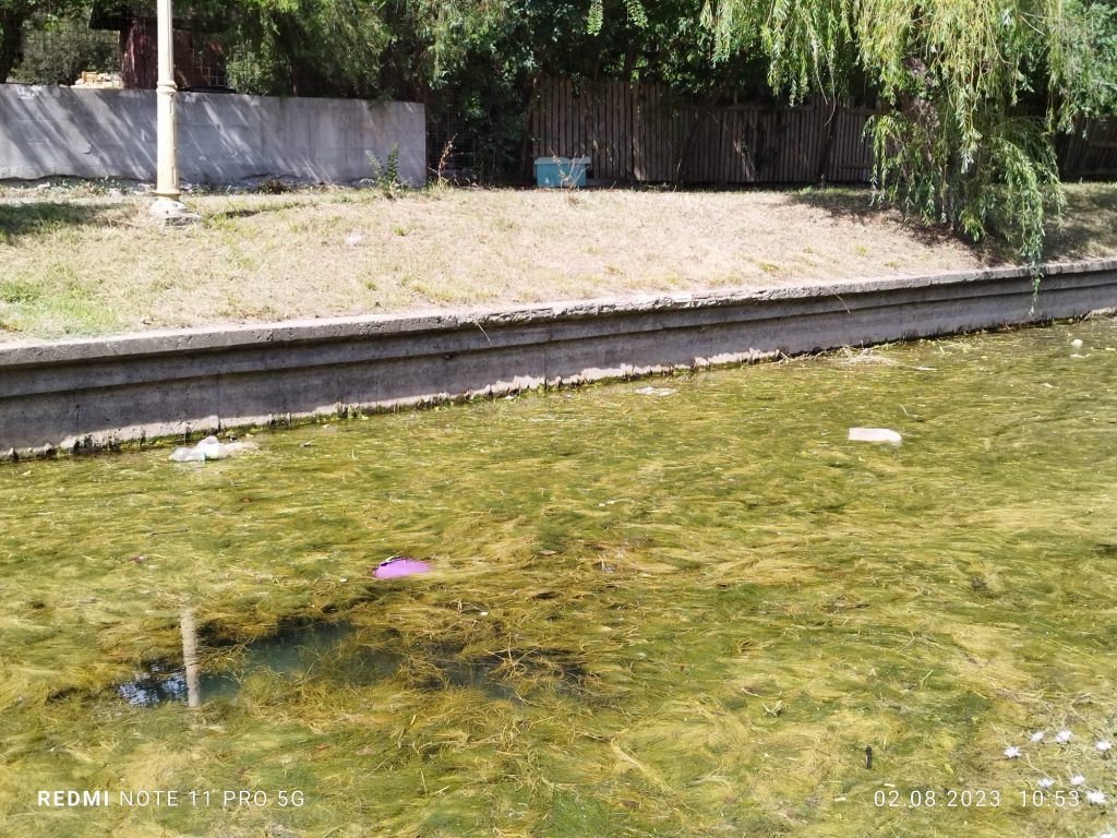 Canal Satul de Vacanta - foto - Radio Constanta