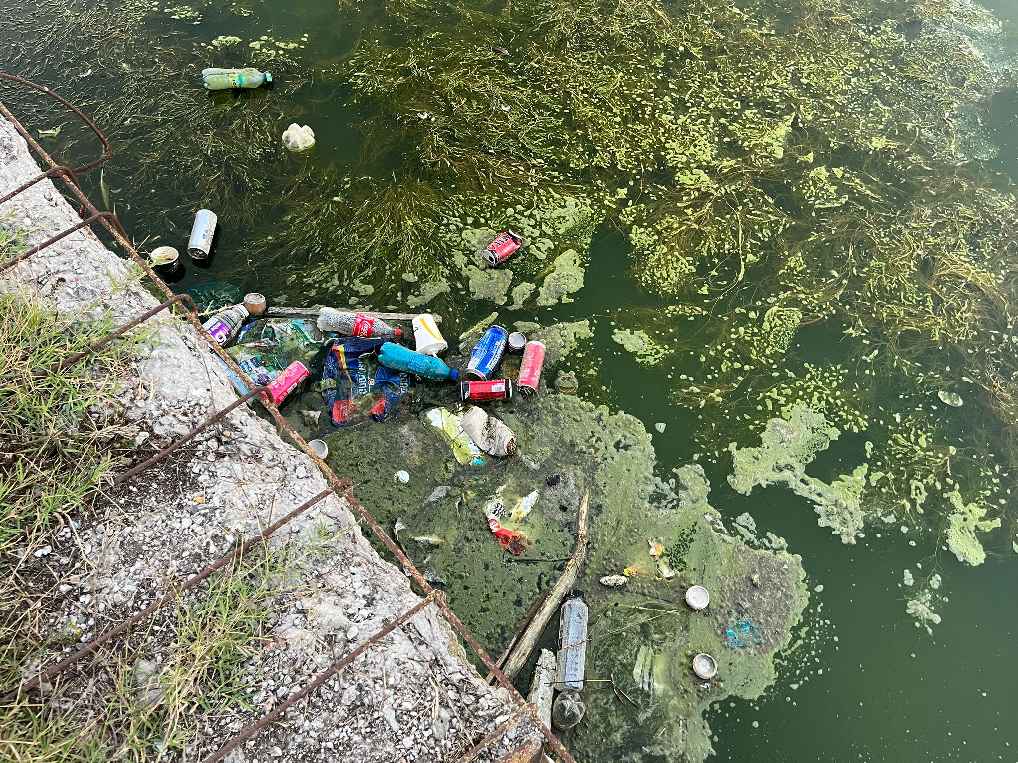 FOTO | După canalul din Satul de Vacanță, Lacul Tăbăcărie este sufocat de gunoaie. Garda de Mediu promite controale