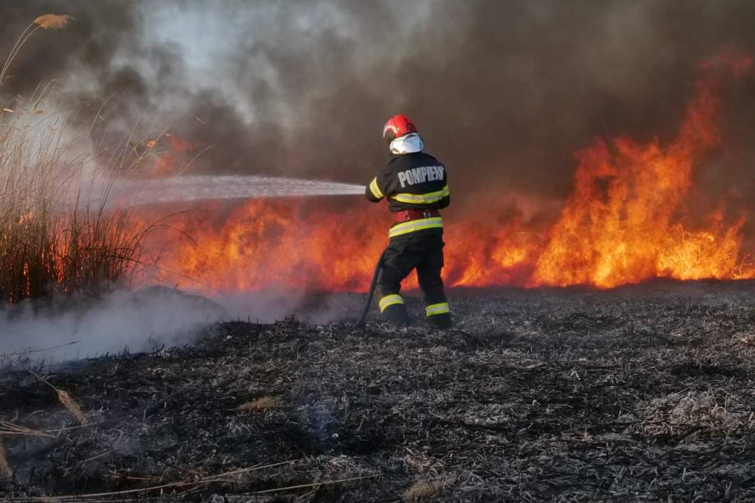 POARTA ALBĂ: Lichidatorul judiciar al unei firme, amendat cu 50.000 lei după ce 370 hectare de teren au ars în mai multe incendii