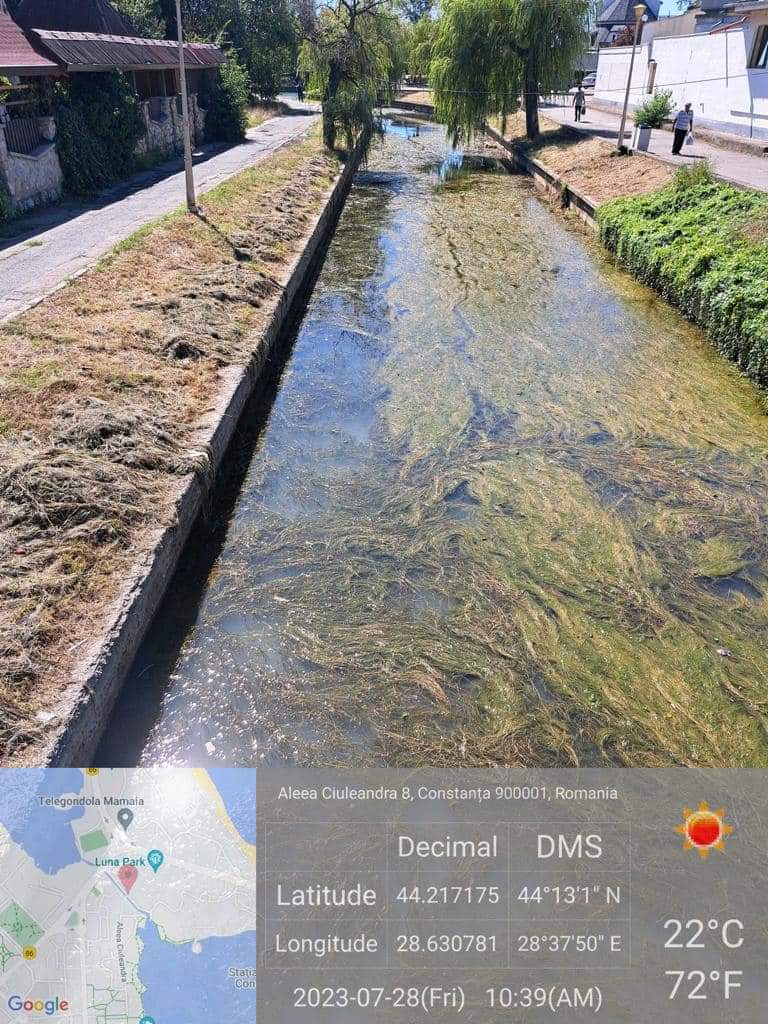 Garda de Mediu Constanța organizează o acțiune de ecologizare a lacului Tăbăcărie. În luna august a verificat zona canalului de legătură dintre lacurile Tăbăcărie și Siutghiol