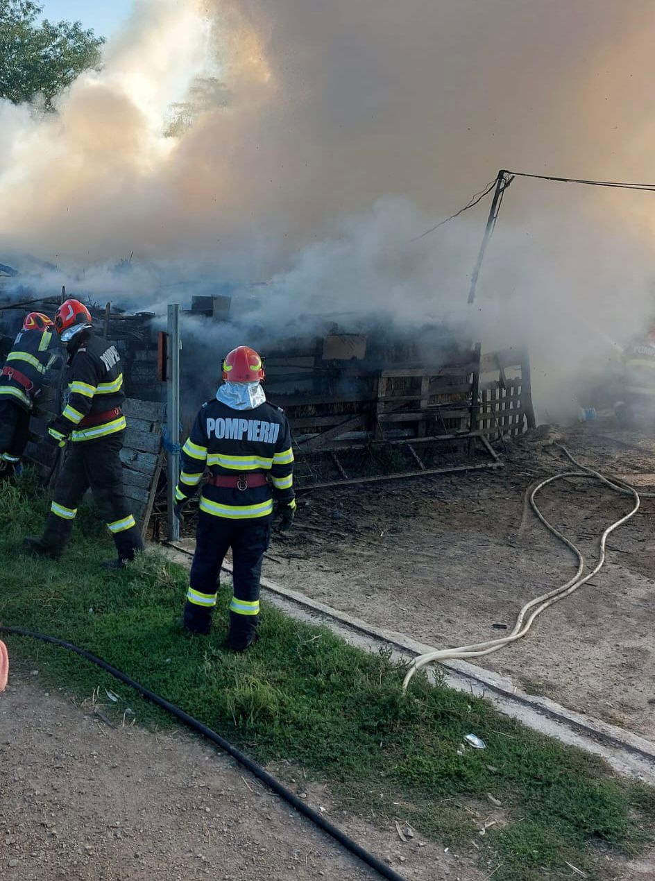 Județul TULCEA/VIDEO: Adăpost de animale distrus de un incendiu