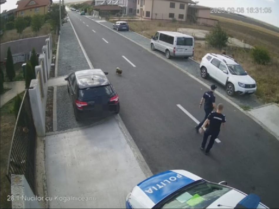 VAMA VECHE: Șoferi sub influența alcoolului. Unul dintre ei conducea agresiv