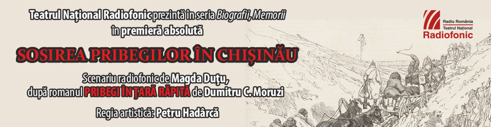 Serial de teatru-document realizat după romanul Pribegi în țară răpită de Dumitru C. Moruzi