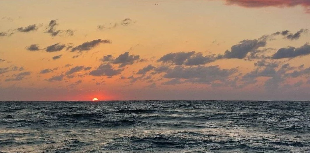Vreme deosebit de caldă în Dobrogea