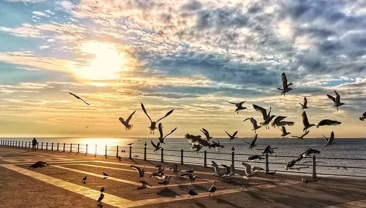 Vreme frumoasă și caldă va fi în Dobrogea
