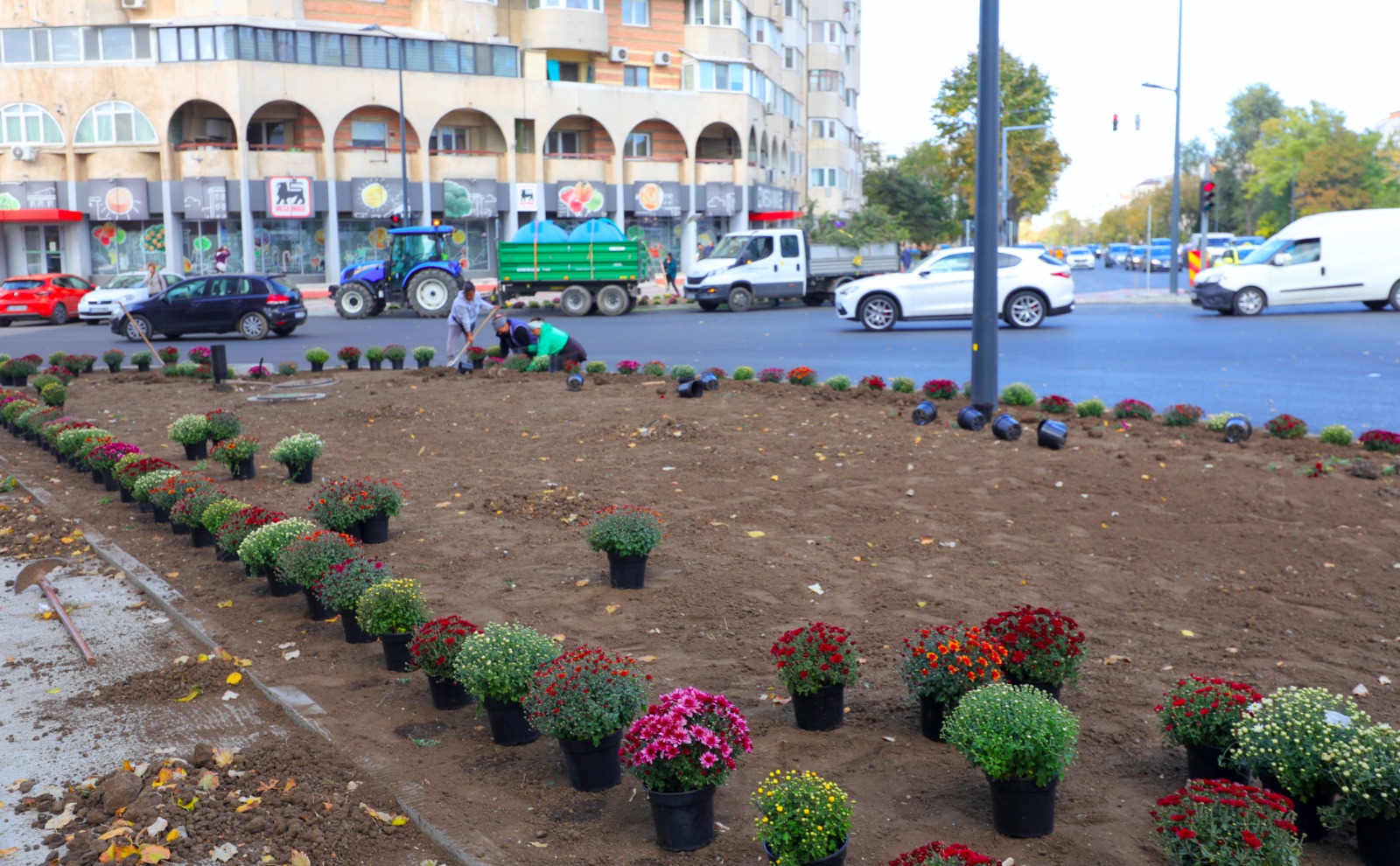 CONSTANŢA: Au început plantările de toamnă
