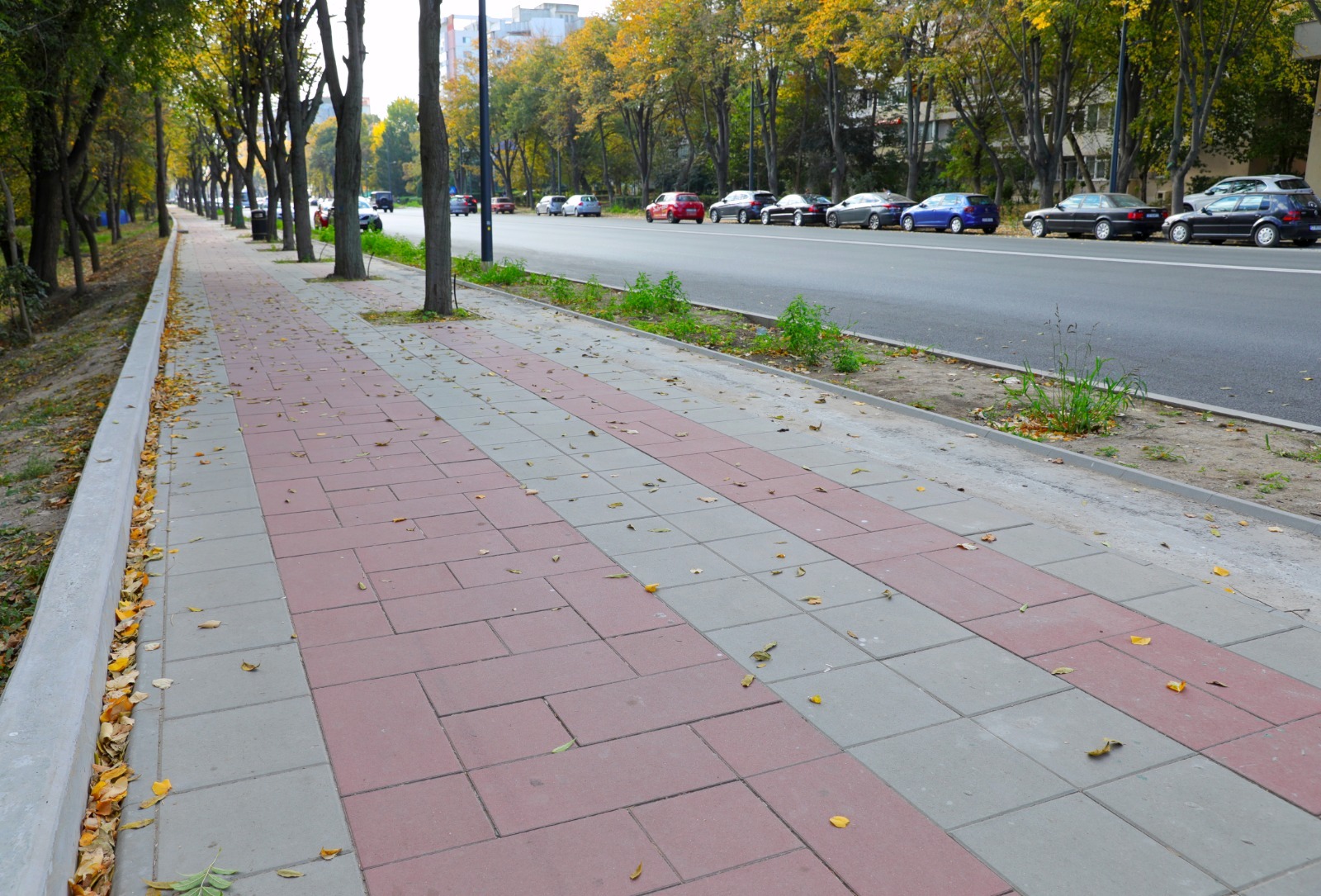 CONSTANŢA: Se asfaltează pistele de biciclete de pe bulevardul Alexandru Lăpuşneanu