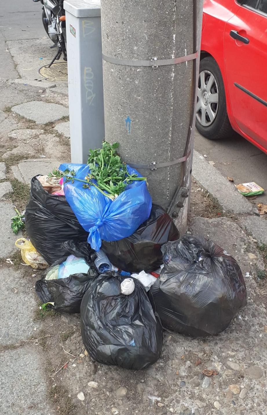 CONSTANŢA: 110 sancțiuni contravenționale pentru depozitarea ilegală de deșeuri pe domeniul public