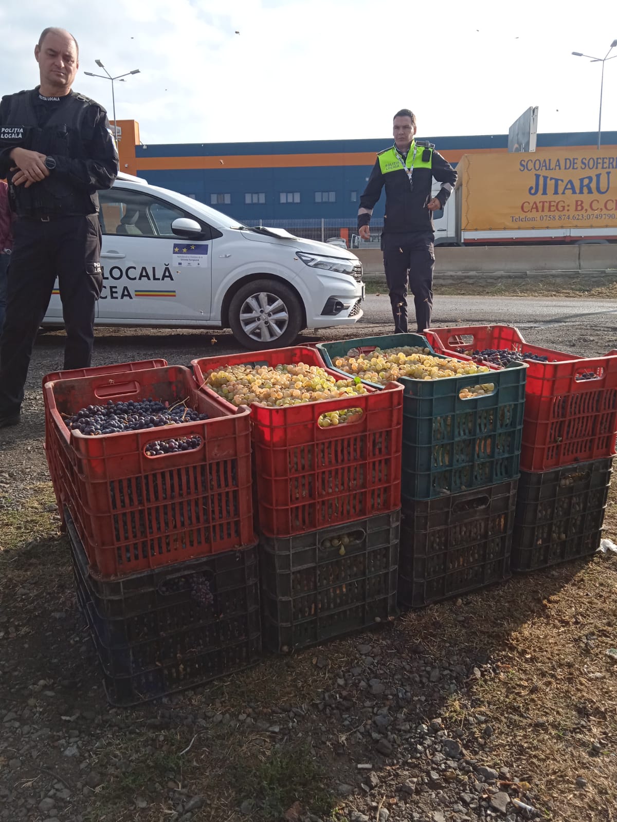 TULCEA: ”Comercianți” de struguri amendați de Poliția Locală