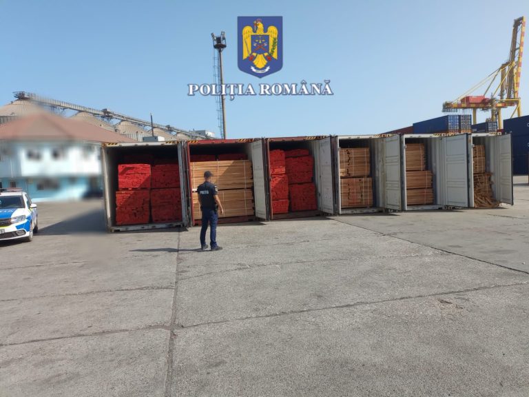 Portul CONSTANȚA: Material lemnos, în valoare de peste 1,7 milioane de lei, confiscat de polițiști