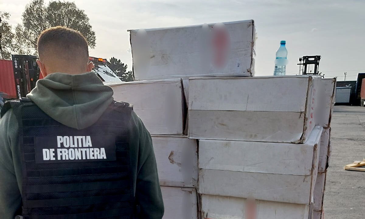 CONSTANȚA: 64.500 pachete cu ţigări de diferite mărci, contrafăcute, descoperite într-un container