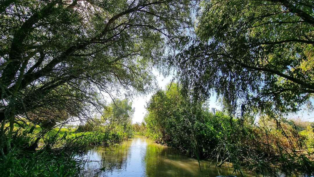 Ultima zi din săptămână vine cu vreme însorită și caldă în Dobrogea