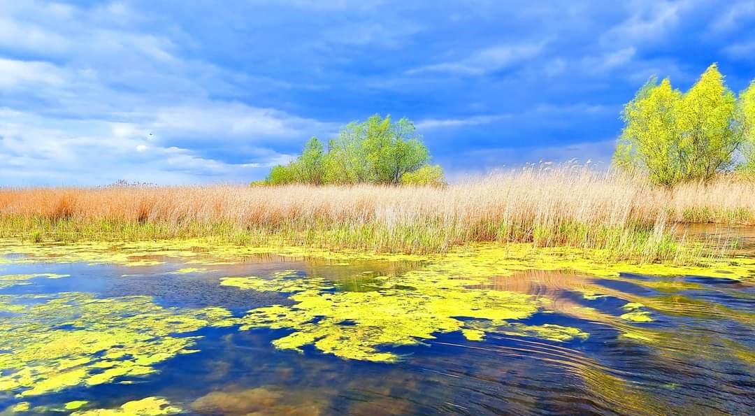 Final de octombrie cu vreme însorită și caldă, în Dobrogea