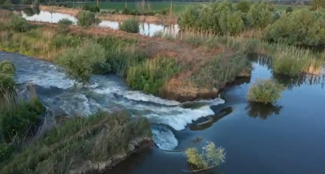 TULCEA: Proiecte de renaturare în Deltă, la Murighiol și Chilia Veche, iniţiate de WWF