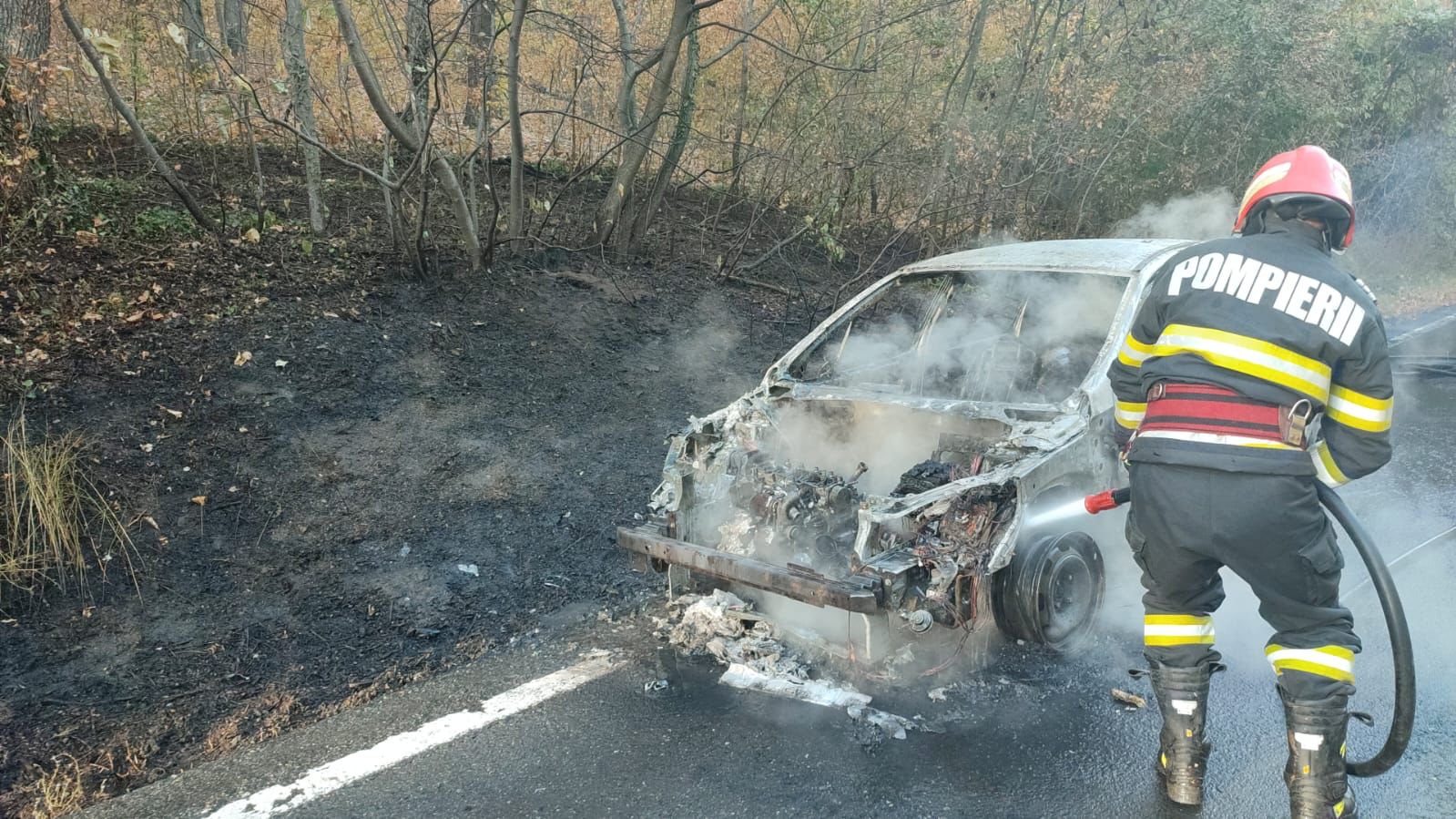 VIDEO | TULCEA: Mașină în flăcări, cu pericol de extindere a incendiului în pădure
