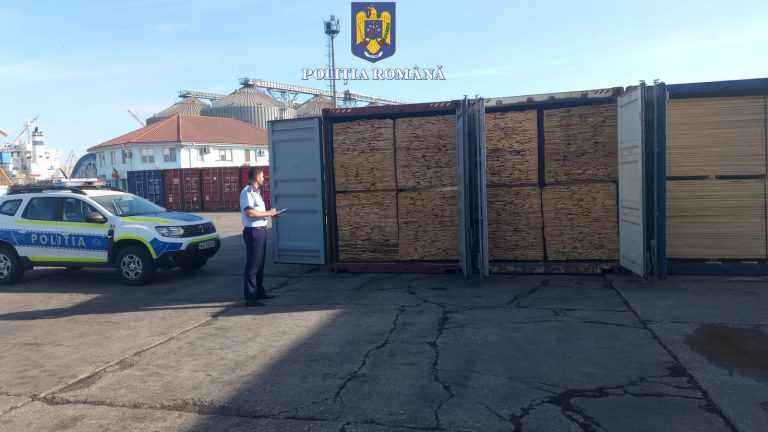 CONSTANȚA: O firmă care încerca să transporte mai mult lemn față de cât era trecut în acte s-a ales cu dosar penal