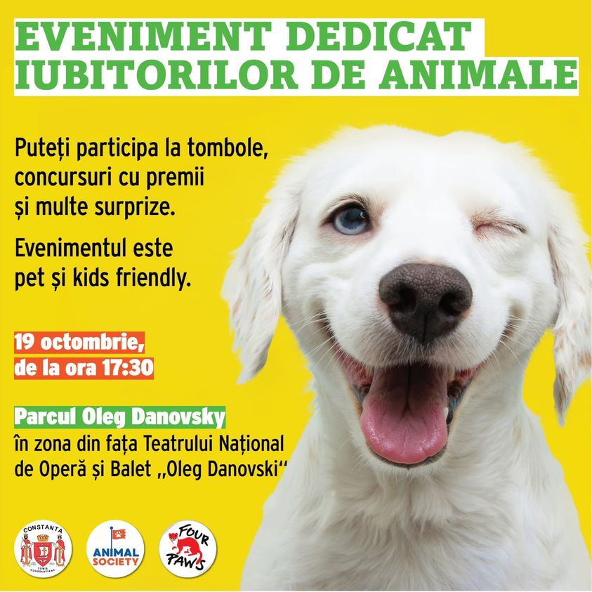 CONSTANȚA: Campania ”Adoptă un cățel!” – un nou târg de adopții va avea loc joi, în parcul Teatrului ”Oleg Danovski”