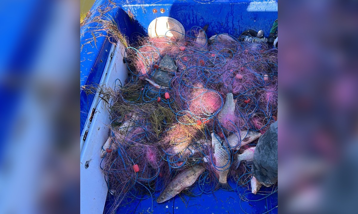 Poliţiştii de frontieră au descoperit pe Lacul Sinoe, 620 metri de plase mono-filament cu 55 kilograme de pește