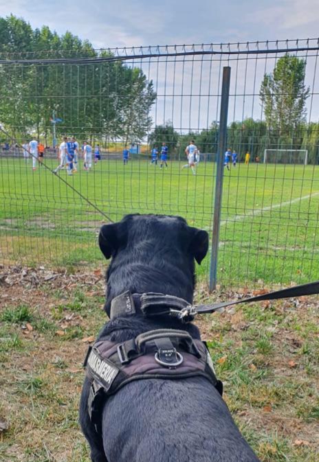 Măsuri de ordine și siguranță publică la meciul ce se desfășura în acest sfârșit de săptămână în județul Tulcea
