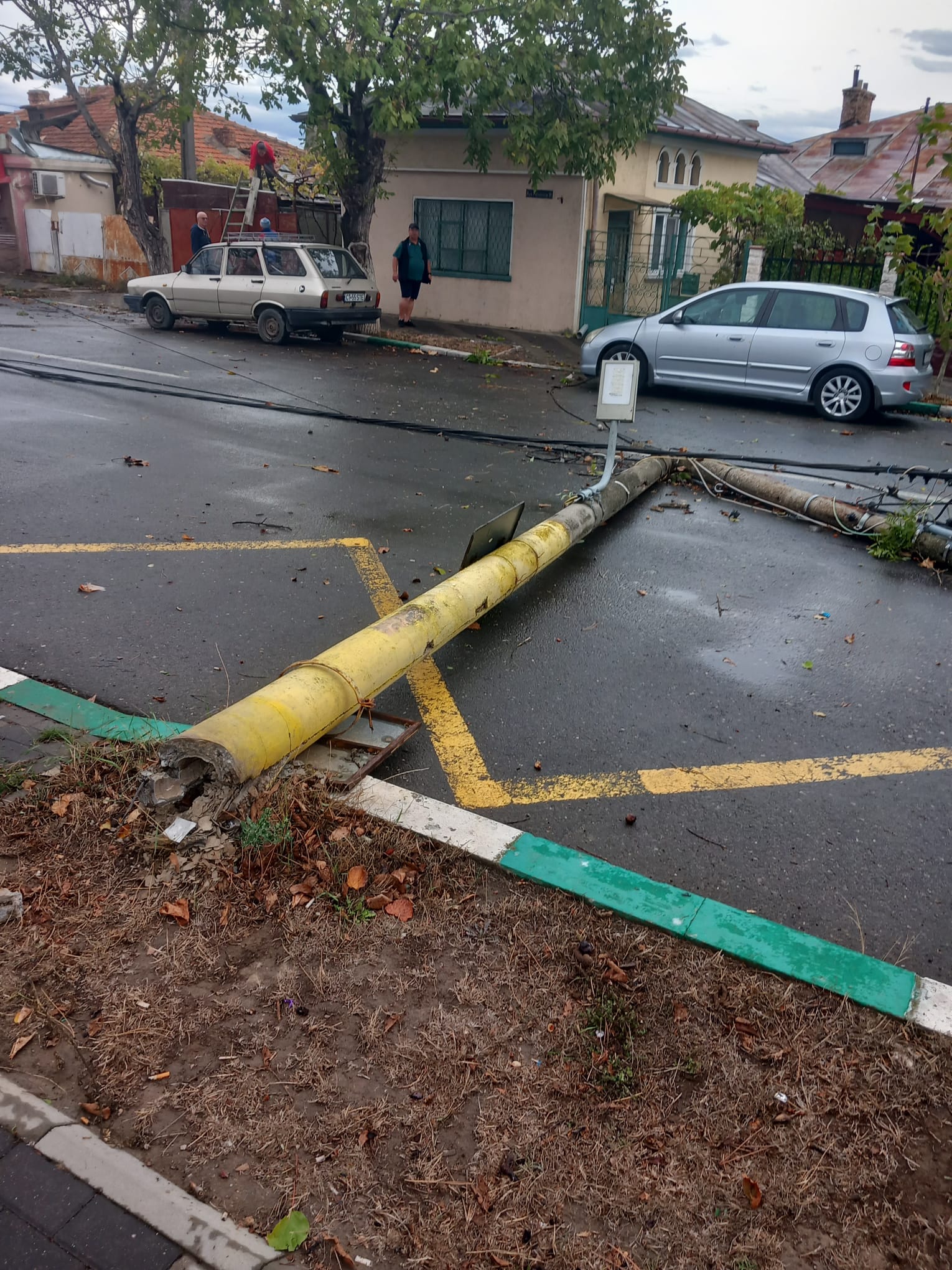 FOTO/CONSTANȚA: CODUL PORTOCALIU – mașini avariate de copacii căzuți, stâlpi de electricitate au fost afectați