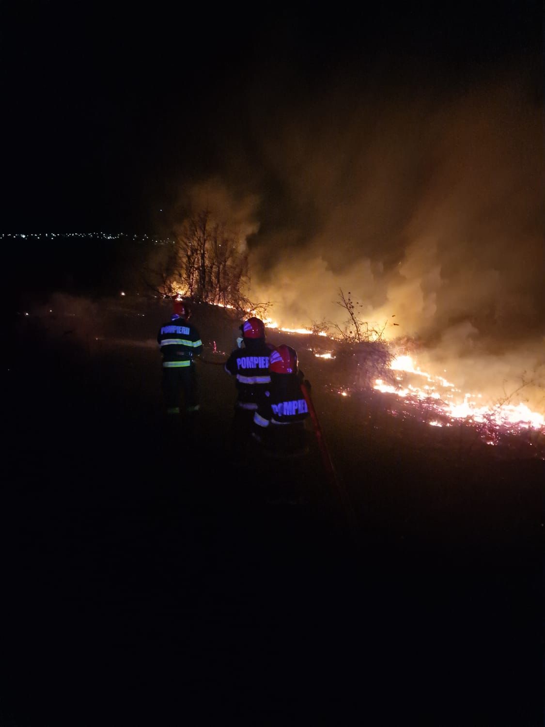 TULCEA/FOTO: Incendiu de proporții – 100 de hectare de vegetație în flăcări