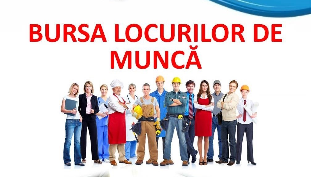 TULCEA: Bursă a locurilor de muncă pentru tinerii NEETs