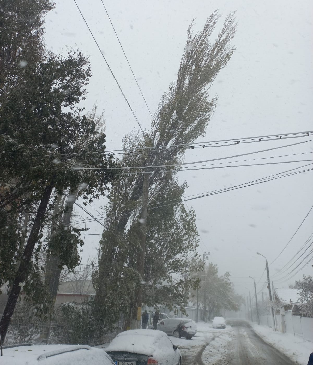 Județul CONSTANȚA: Peste 60 de localități lipsite, total sau parțial, de curent electric