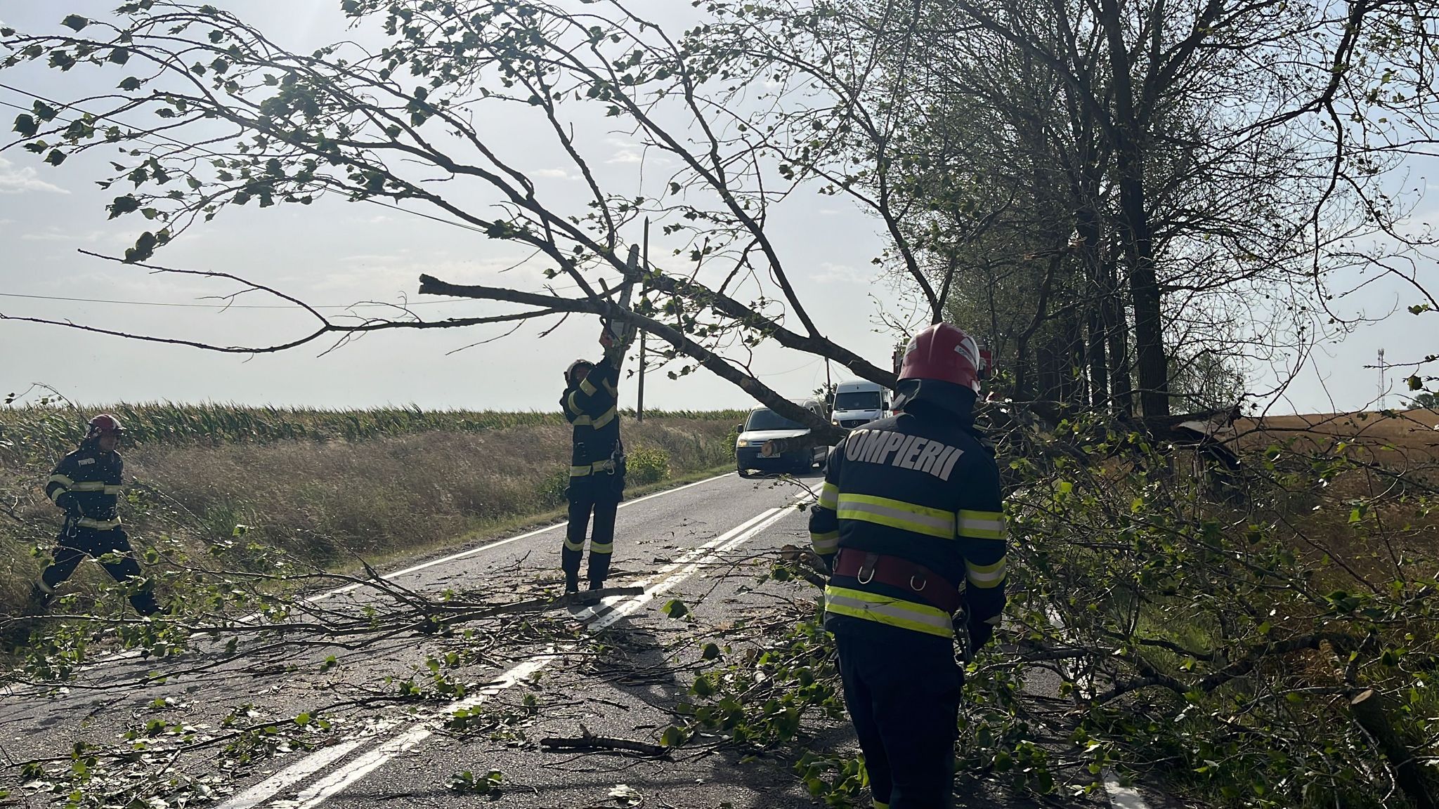 Bilanțul codului galben de vânt din Dobrogea: 23 de intervenții ale pompierilor