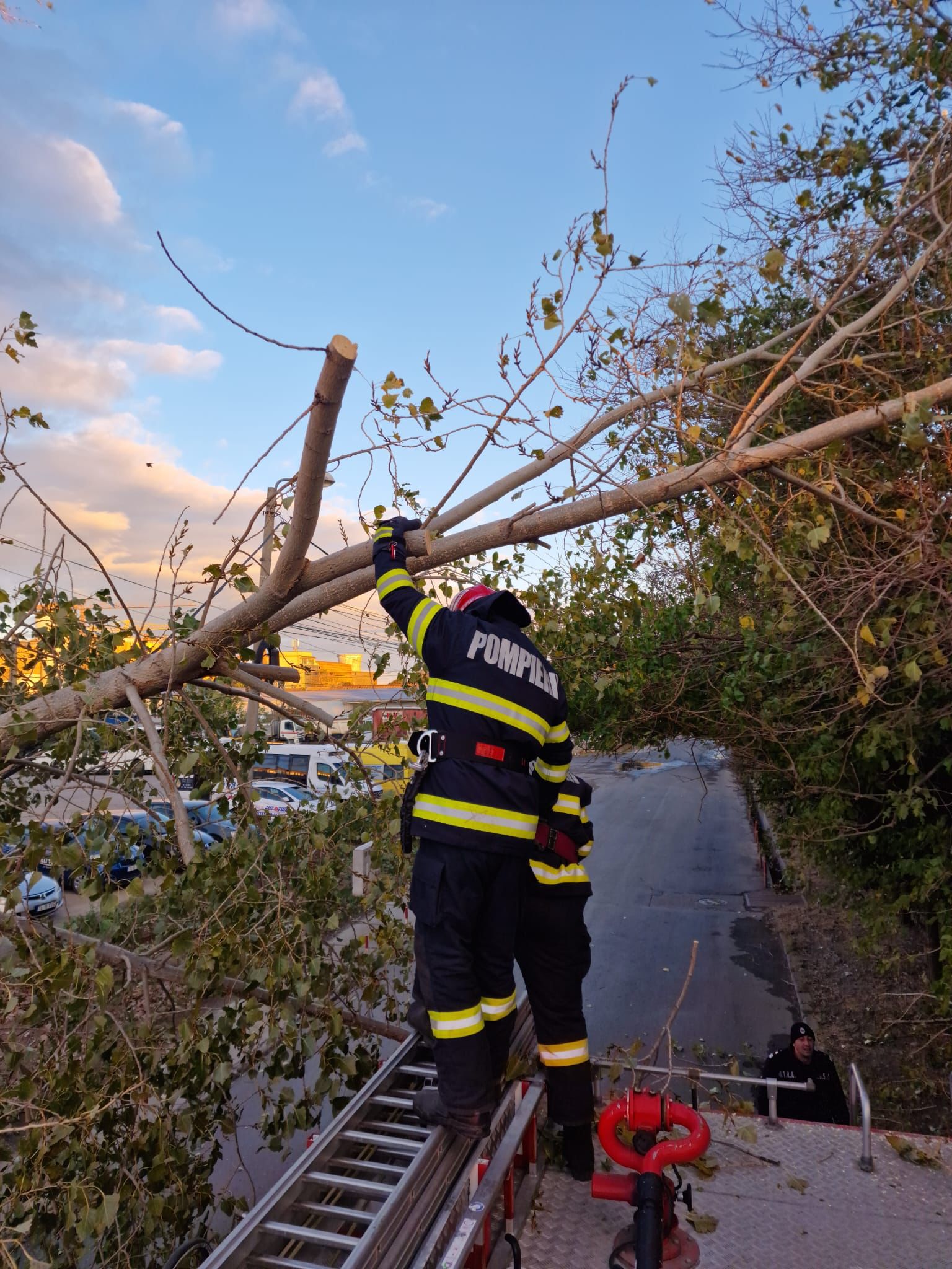 Arbori căzuți peste mașini și acoperișuri smulse de rafalele de vânt în județele CONSTANȚA și TULCEA