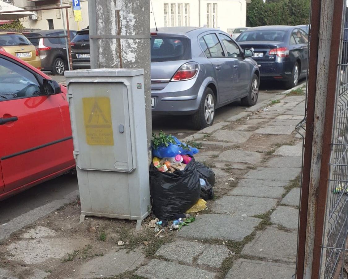 CONSTANȚA: O persoană care a aruncat gunoi pe domeniul public a fost amendată cu 10.000 de lei