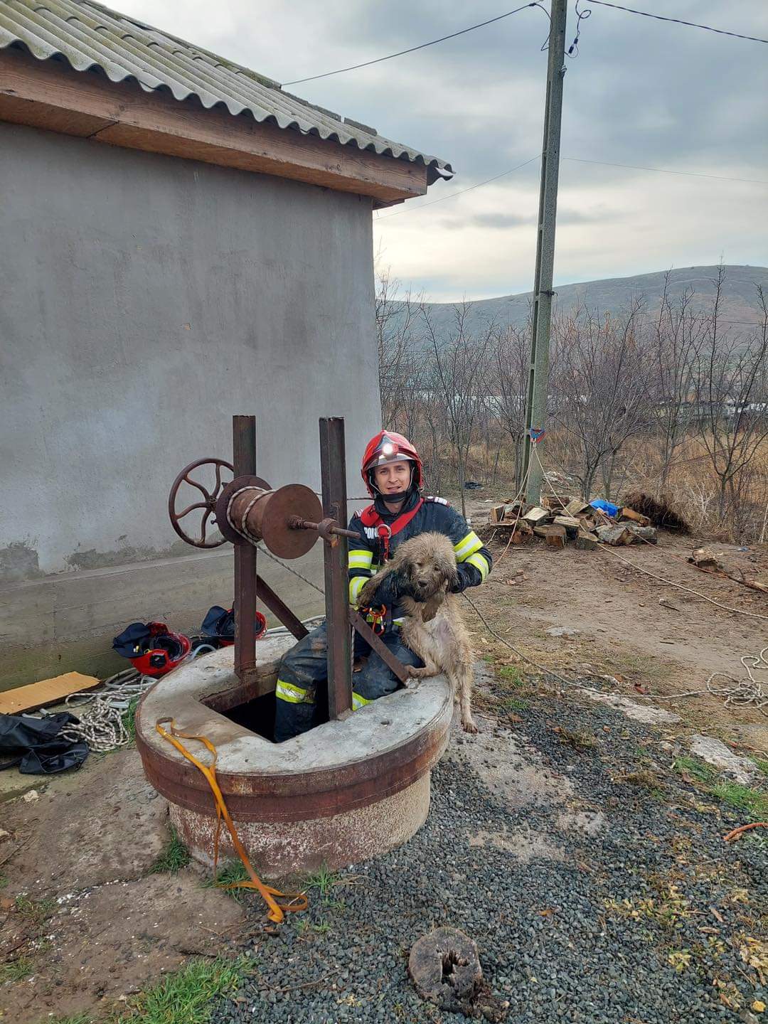TULCEA: Un câine și o pisică au fost salvați dintr-o fântână