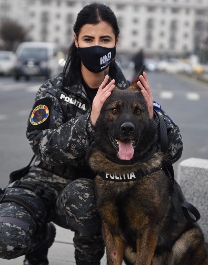 Fără petarde de Revelion! Distracția unora, coșmarul animalelor!