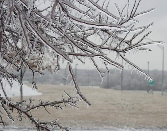 Precipitații, vânt alert, ceață, polei și temperaturi scăzute, în toată țara