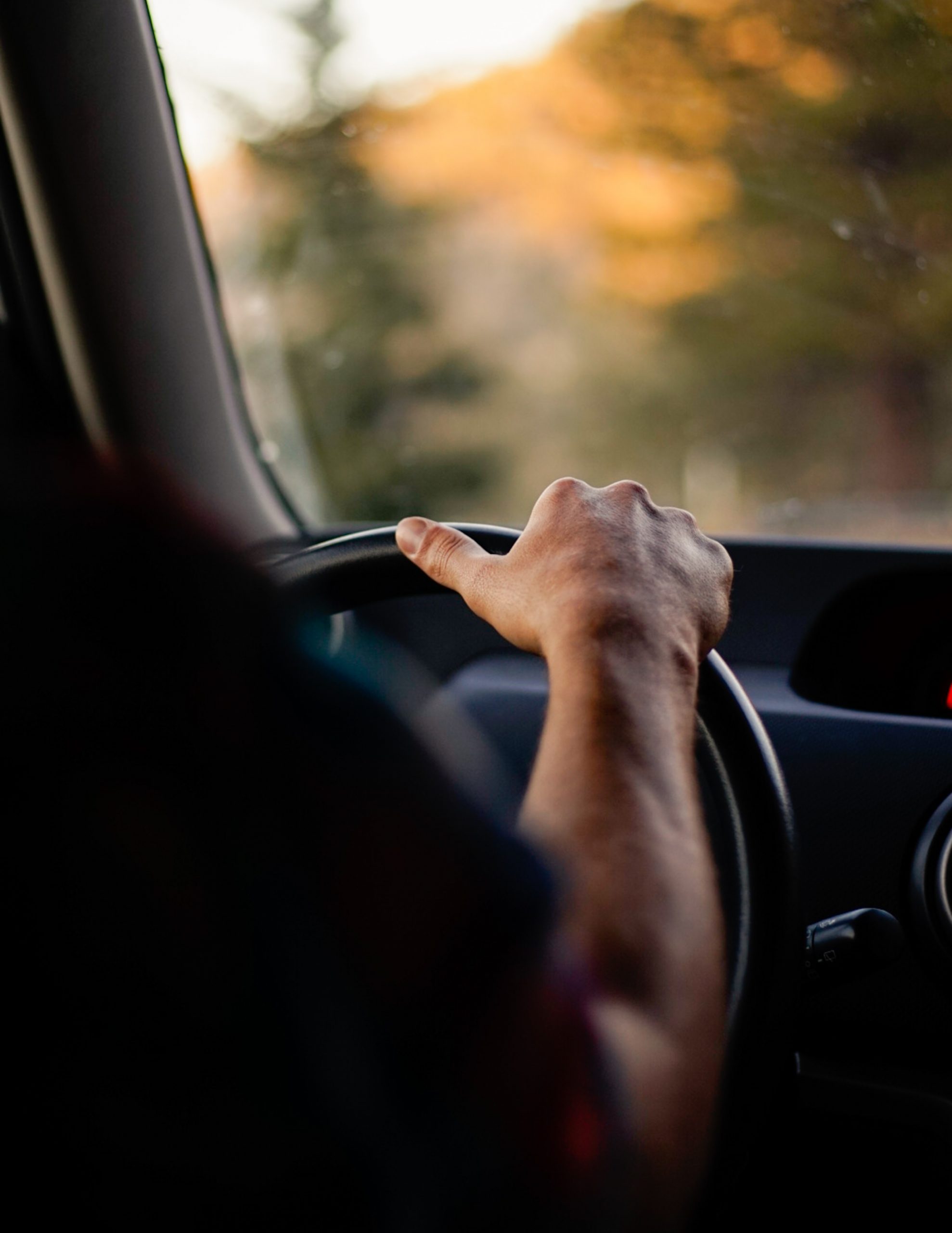 Poliţiştii de frontieră de la Negru Vodă au depistat un bărbat cu dreptul de a conduce anulat. Acesta se afla la volanul unei mașini neînmatriculate