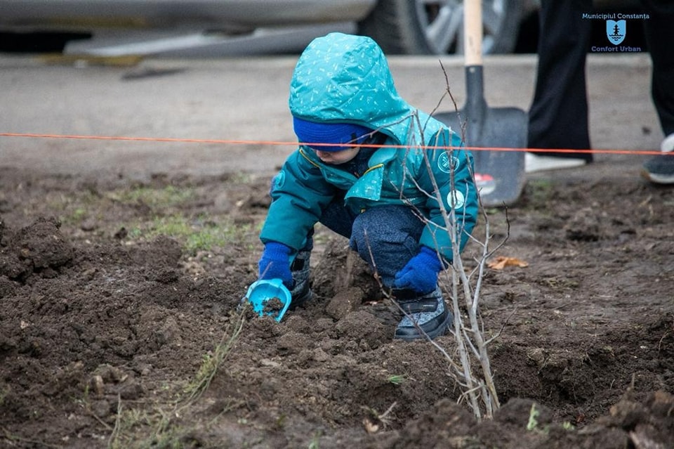 CONSTANȚA: Ziua Minorităților Naționale, marcată prin plantarea de arbori