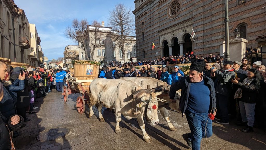 Boboteaza Constanta 2024 - foto - Bogdan Comsa