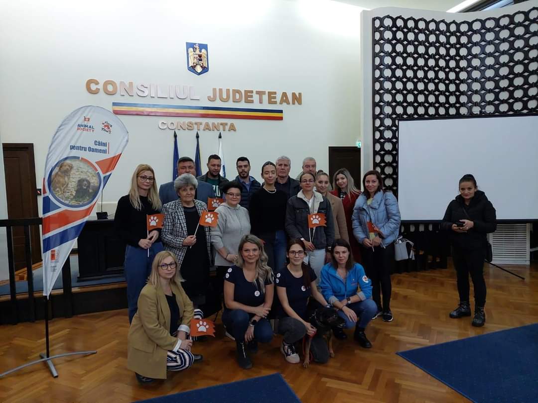 CONSTANŢA: Animal Society caută oameni implicaţi şi dornici să ajute în privinţa animalelor fără stăpân