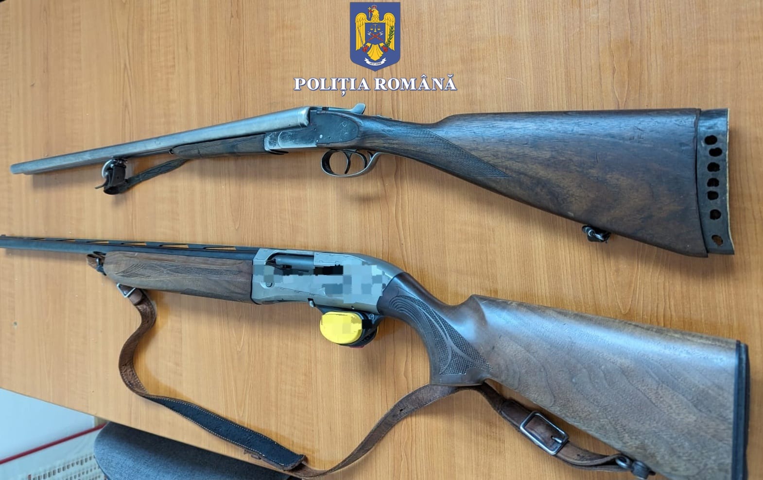Județul CONSTANȚA: Bărbati bănuiți de împușcarea mai multor câini, cercetați penal