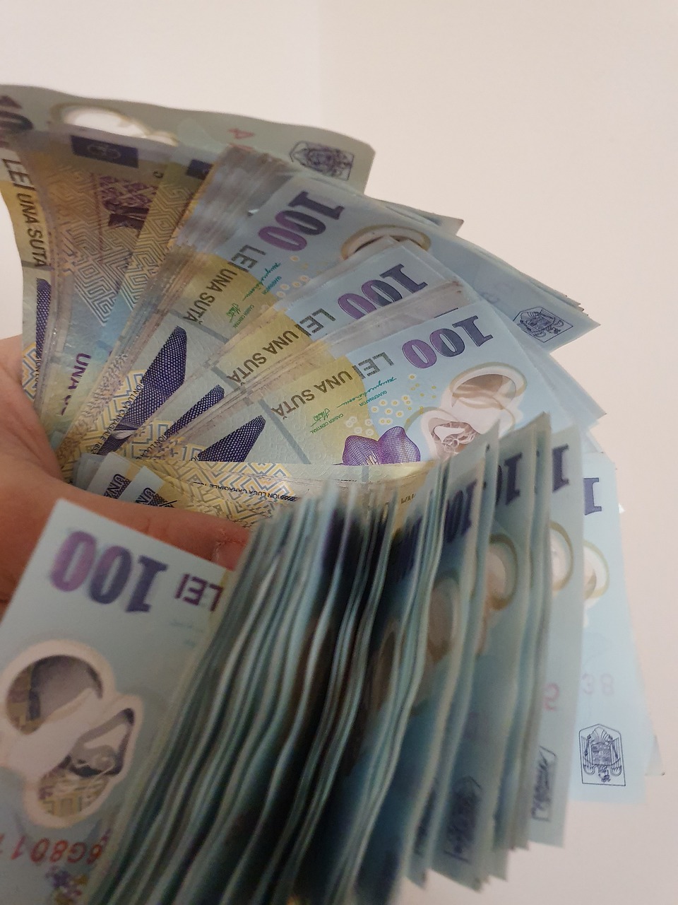 TULCEA: Angajatorii din județ au primit subvențiile restante pentru încadrarea în muncă a persoanelor din categorii vulnerabile