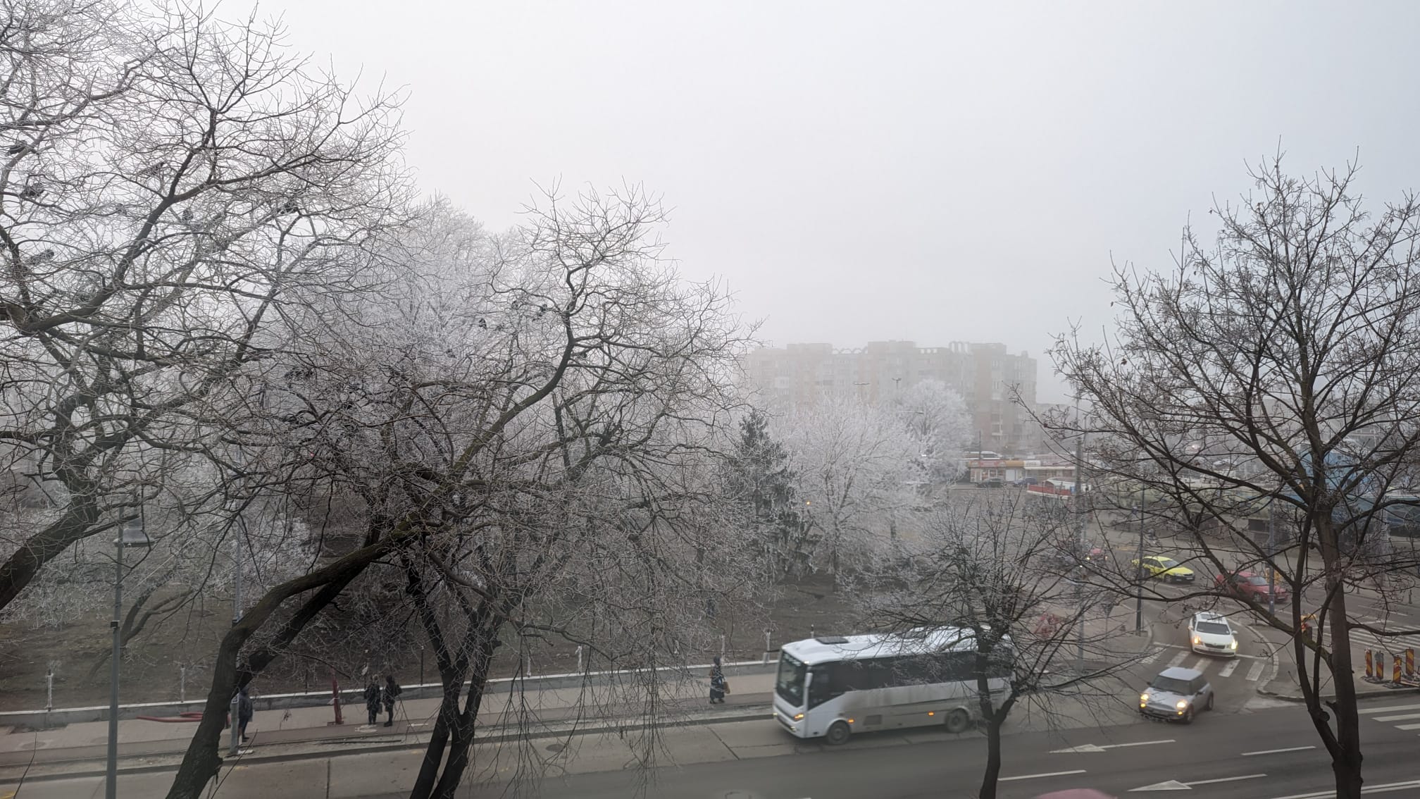 Vreme rece și ceață, duminică, în Dobrogea