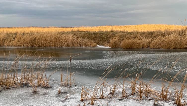 TULCEA: Turiștii care vor să vadă Delta înghețată, înscriși pe liste de așteptare
