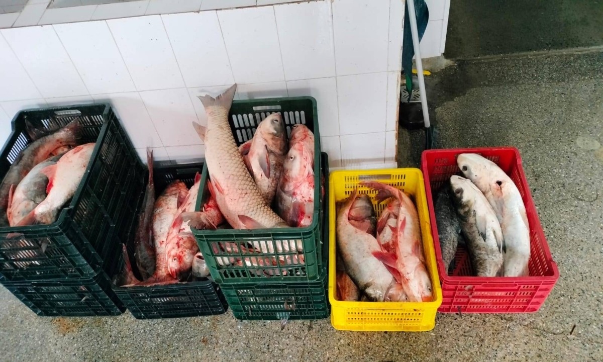 TULCEA: Peste 1.300 de kilograme de pește și sute de unelte de pescuit, confiscate de Serviciul de Poliție „Delta Dunării”