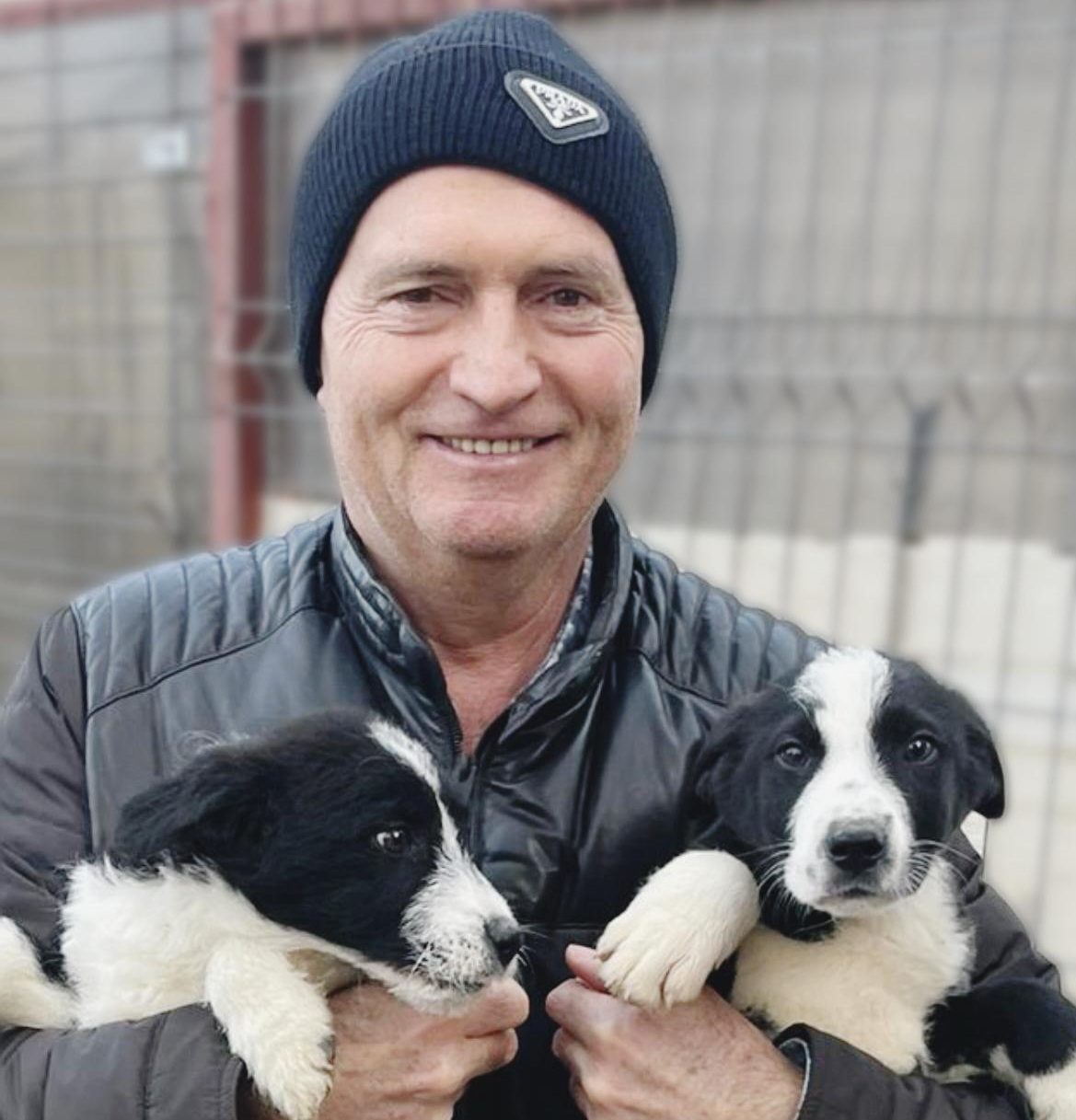 CONSTANŢA: Oscar, Gimmy și Rebela, trei cățeluși adorabili de la Adăpostul public de animale abandonate, şi-au găsit familii