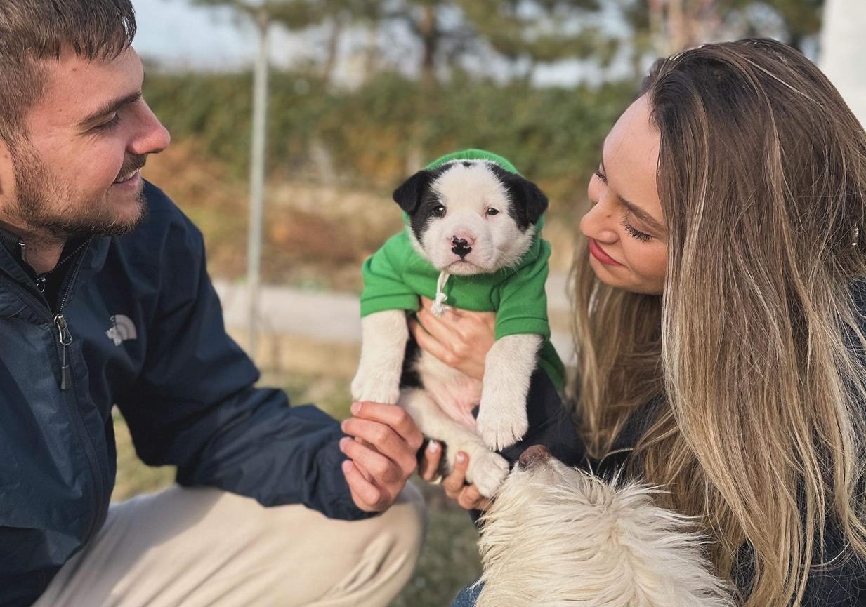 CONSTANȚA: Căței adoptați, bucurie la Adăpost