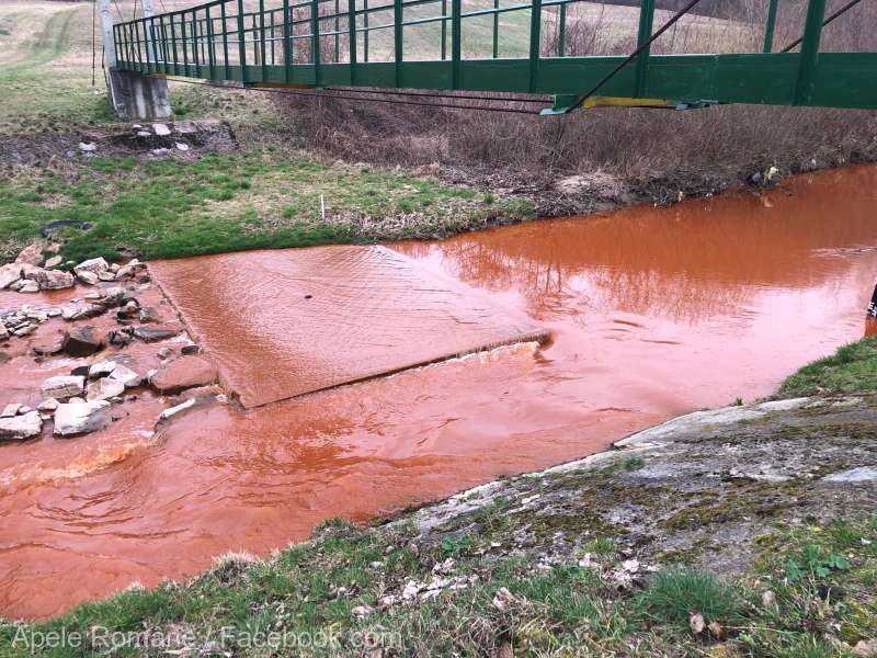 Apele Române: Alertă de poluare pe Valea Borod, în judeţul Bihor